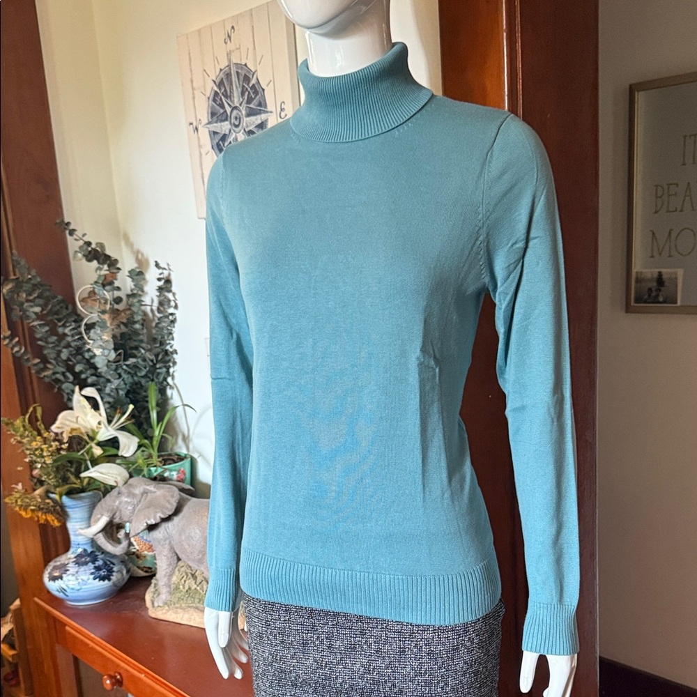 NWT northern reflections size small cotton Teal Turtleneck Sweater